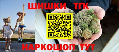 мет Кингисепп