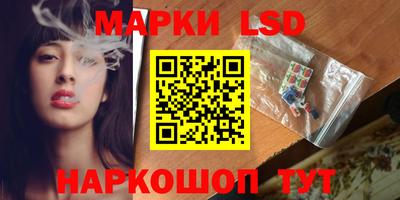 мет Кингисепп