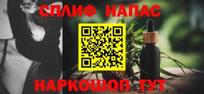 мет Кингисепп