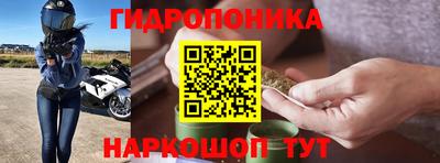 мет Кингисепп