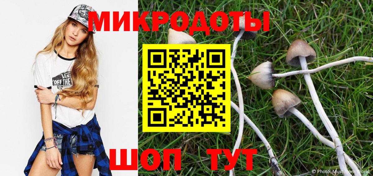 Красногорск  Псилоцибиновые грибы прущие грибы  Вход с VPN  Псилоцибиновые грибы ЛСД 