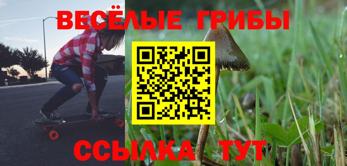 Галлюциногенные грибы Psilocybine cubensis Красногорск